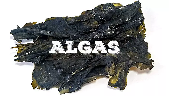 ALGAS