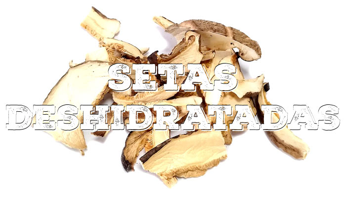 SETAS-DESHIDRATADAS