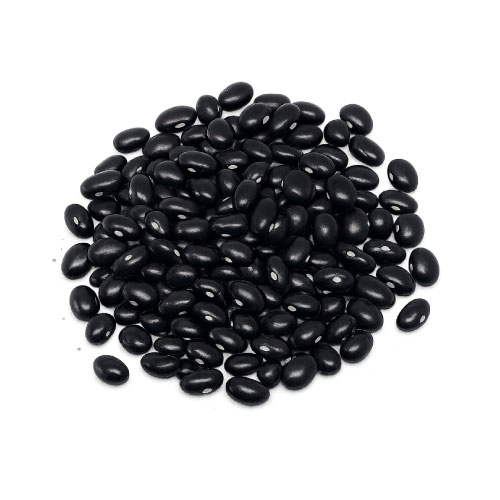 Alubia Tolosana Negra