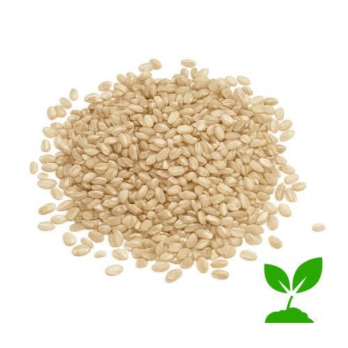 Arroz Redondo Integral ECO