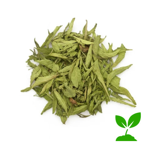 Estevia de Hoja ECO