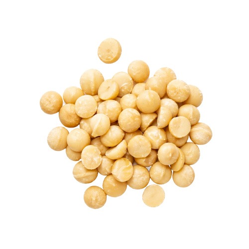 Macadamia