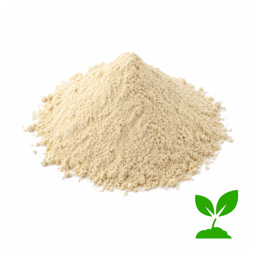 Gluten de Trigo ECO